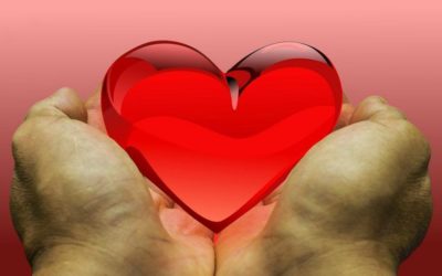 L’attitude de gratitude