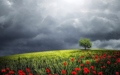 Les Télosiens : la transformation de la Terre et de l&rsquo;humanité
