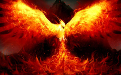 Ember le Phénix : baigné de lumière