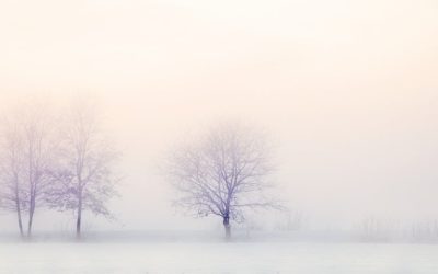 Ce n&rsquo;est pas qu&rsquo;un rêve