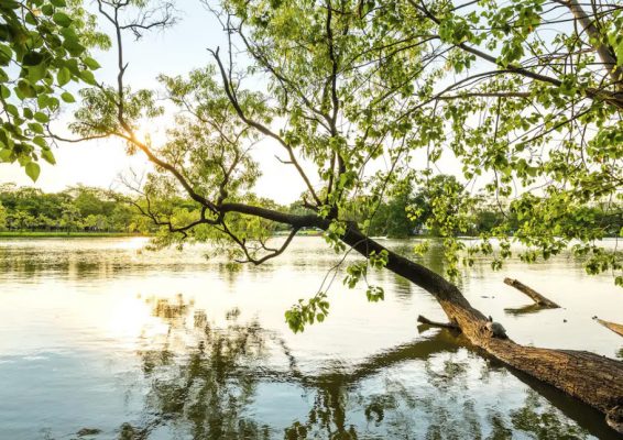 Deux heures par semaine dans la nature, la dose minimale pour votre bien-être