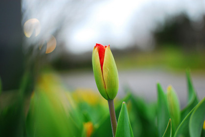 Les dépendances