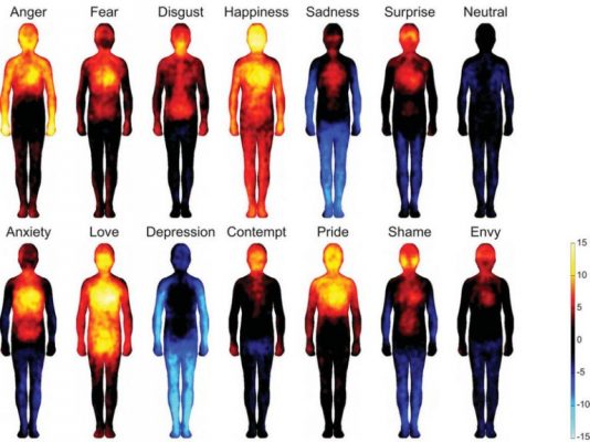 Comment les émotions positives réduisent l’inflammation