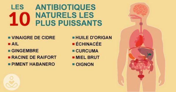 Les 10 antibiotiques naturels les plus puissants connus de l’humanité