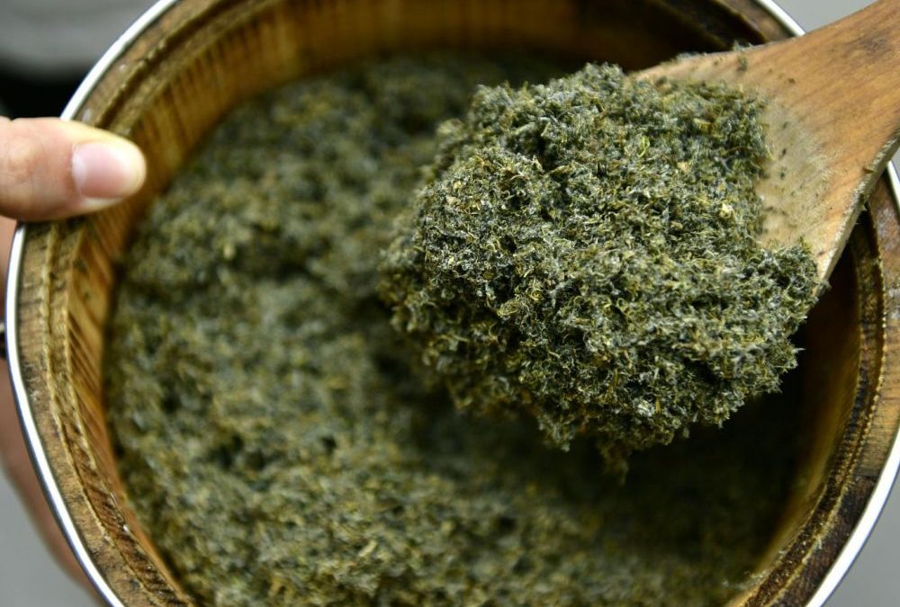 Question de la semaine : qu&rsquo;est-ce que l&rsquo;Artemisia et pourquoi l&rsquo;OMS ne la recommande pas ?