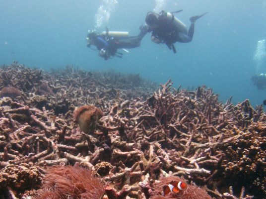 Certains impacts du changement climatique sont « irréversibles », dit le GIEC