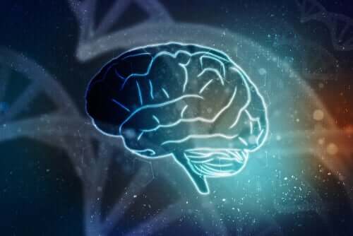 Le cerveau peut ressusciter sans le corps