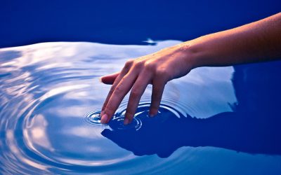 L’Un : La Singularité