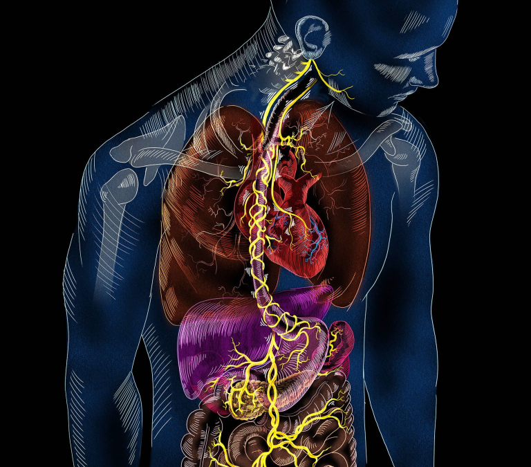 Respiration, asthme & ayurveda