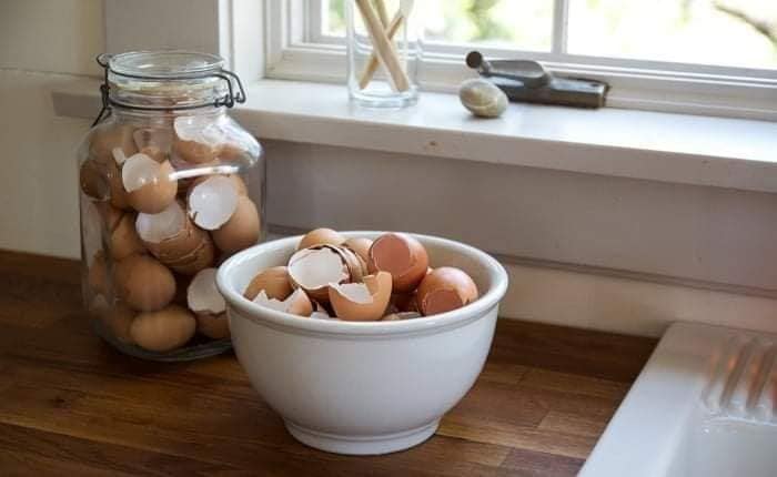 Ne jettez plus jamais de coquilles d&rsquo;œufs