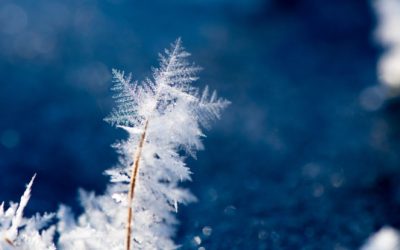 Orientation spirituelle pour novembre/décembre 2023