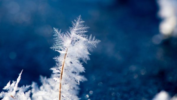 Newsletter de l&rsquo;Ascension de décembre 2023