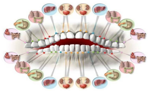 Ce que les dents de nos enfants racontent