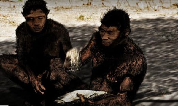Homo erectus n’a pas survécu au changement climatique