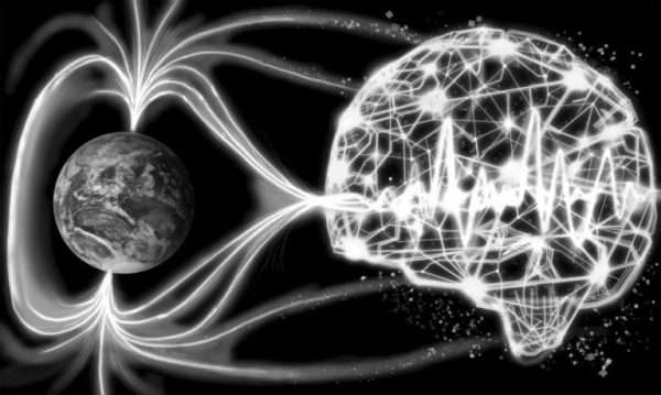 Des scientifiques trouvent des preuves que votre cerveau peut détecter le champ magnétique terrestre
