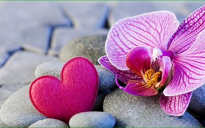 Les fondements de l&rsquo;amour