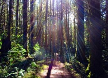 Le chemin de la réalisation intérieure