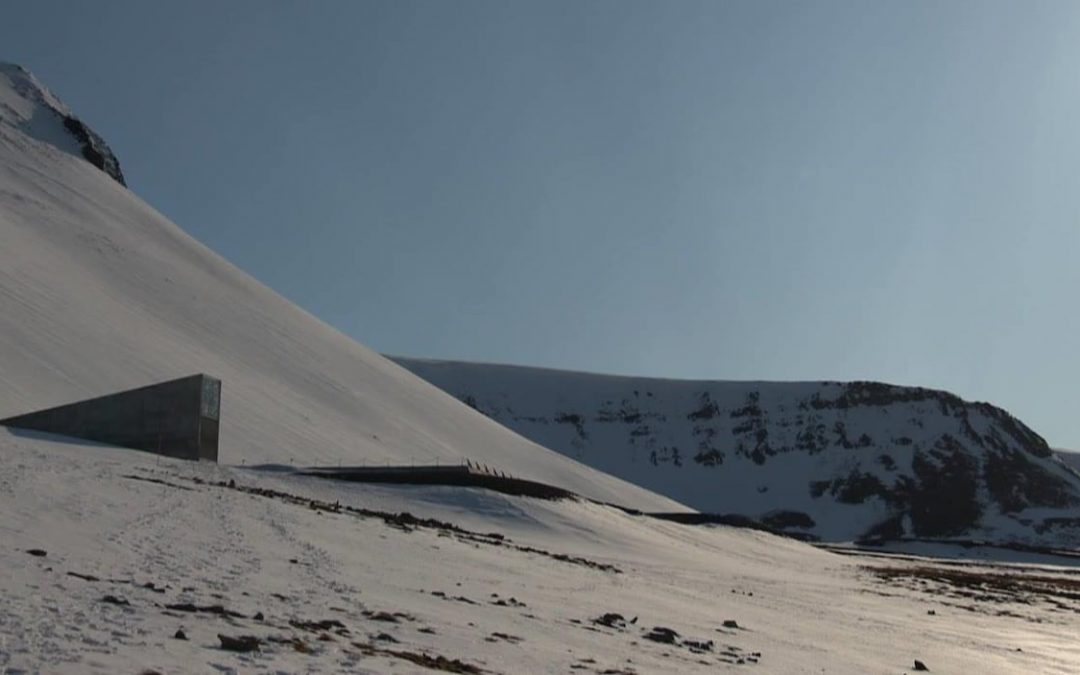 L&rsquo;arche de Noé végétale s&rsquo;étoffe en plein cœur de l&rsquo;Arctique