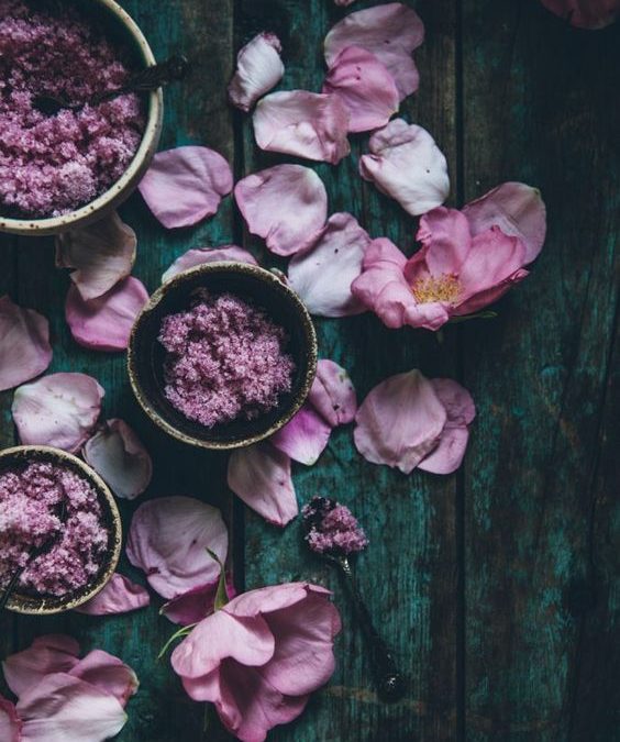 Alchimie florale, la rose