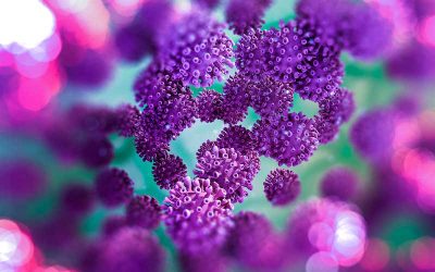 Quand la théorie du complot se comporte comme un virus