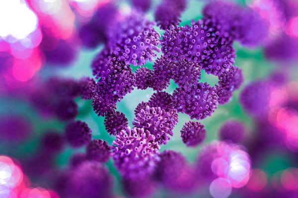 Quand la théorie du complot se comporte comme un virus