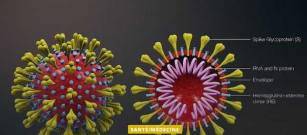 États-Unis: la Covid-19 confirme son impact sur les aînés