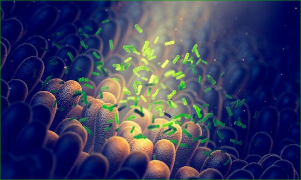 Covid-19 : la piste du microbiote, vers un nouveau paradigme ?