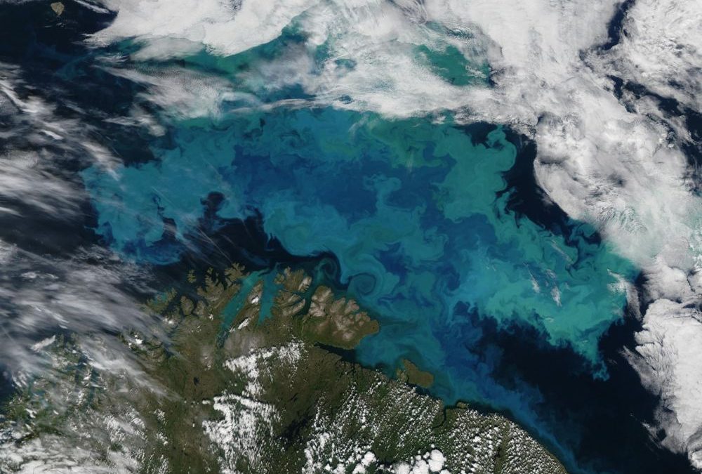 L&rsquo;Atlantique nord colonise l&rsquo;océan Arctique