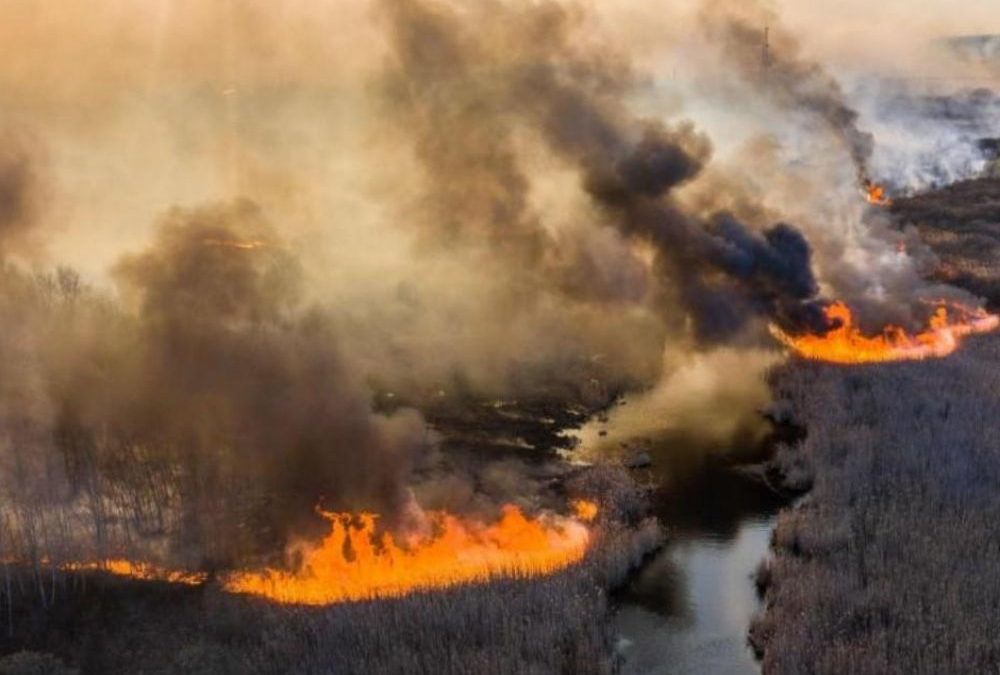 Tchernobyl : les incendies « sous contrôle », mais les fumées circulent en Europe