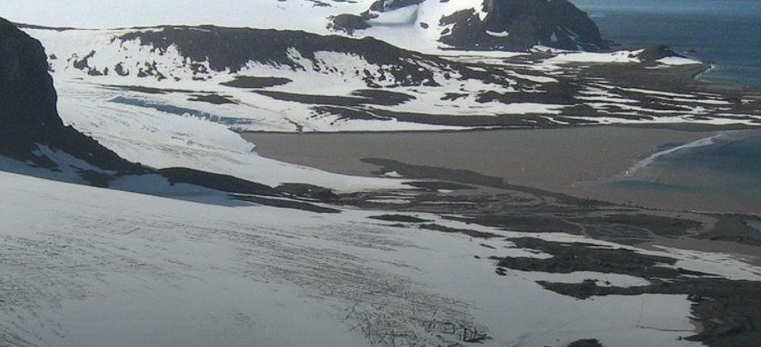 Les envahisseuses de l’Antarctique
