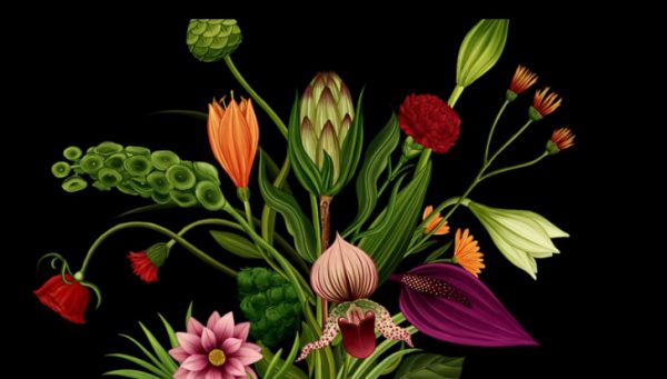 Histoire de fleurs, chant de la création