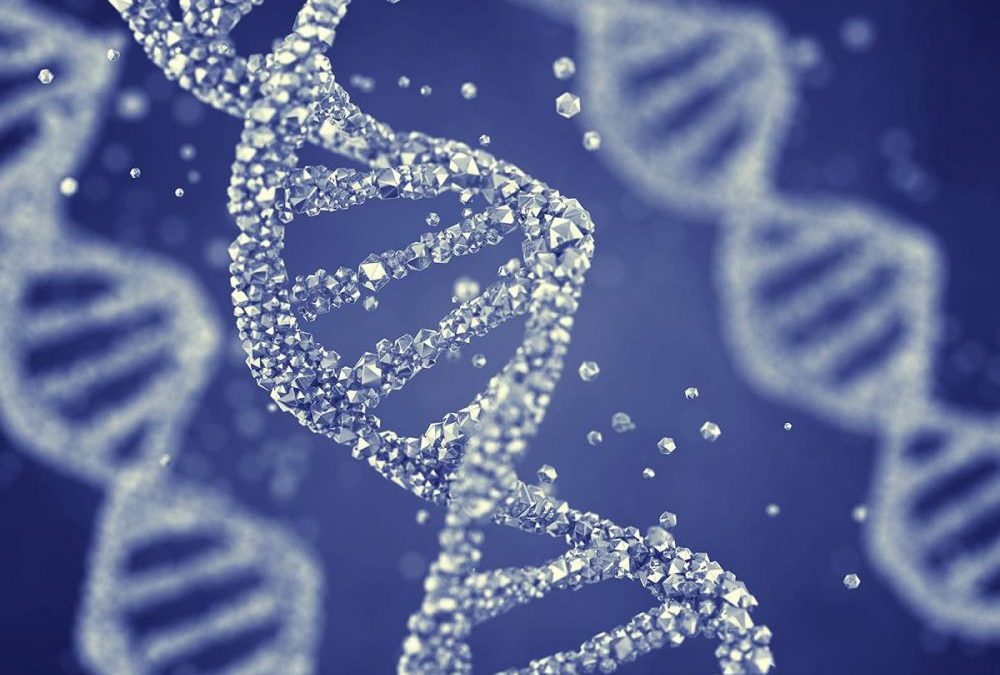 Découverte : la peur retourne l&rsquo;ADN dans le cerveau