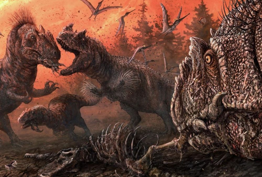 Le cannibalisme de certains dinosaures révélé par des traces de morsures fossiles