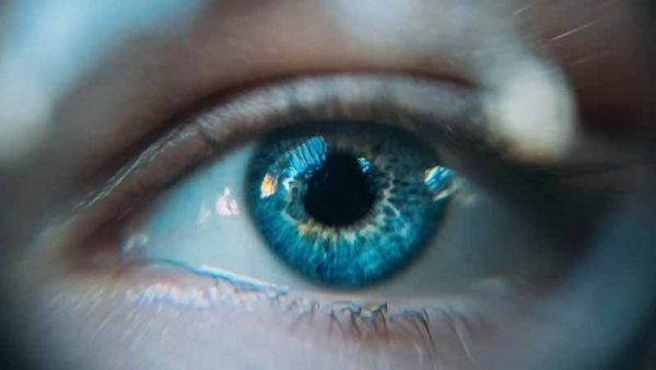 Des yeux bioniques qui « surpassent la vue biologique » et sont dotés d’une vision nocturne arrivent bientôt