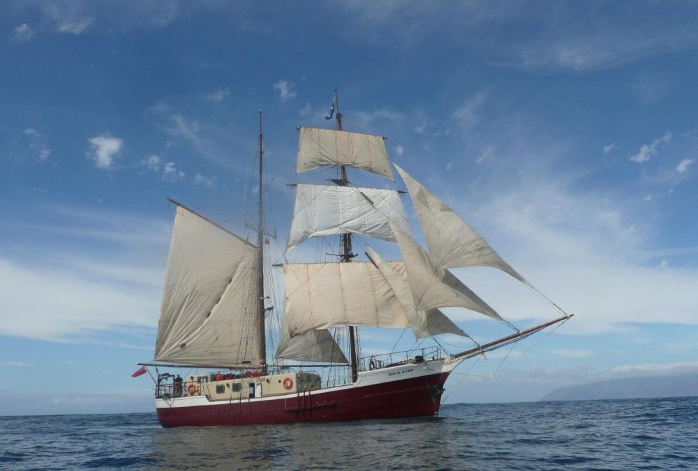 Des chercheurs français ont percé le mystère des « eaux mortes », qui intrigue les marins depuis plus d&rsquo;un siècle !