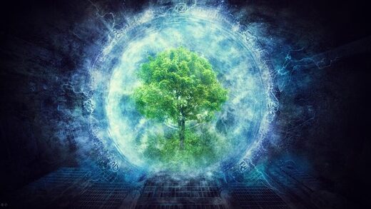 La science relative à l&rsquo;intelligence végétale prend racine