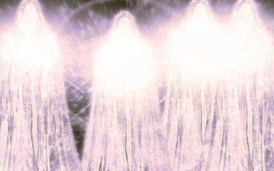 Le Collectif : Un beau signe