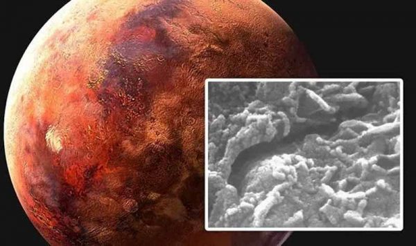 Vie sur Mars : La découverte de “vers” indique une “planète beaucoup plus hospitalière”