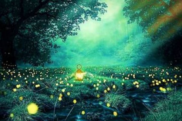 Pour réparer/éviter les dégâts, mettez-vous à l’abri et gardez : Vision et Vibration élevées