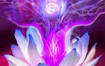 Terminer notre changement avec la flamme violette