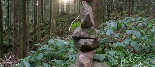 La nature nous voit