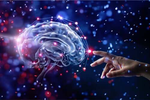 12 habitudes qui prennent soin du cerveau et réduisent le risque de démence