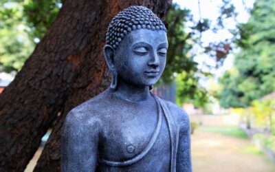 Buddha – Les Chemins des Illuminés