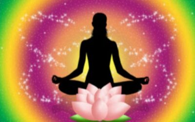 De la boue… sort le lotus