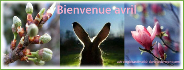 Bulletin MétéoAstro© du 1er avril 2022