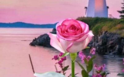 Fraternité de la Rose: Histoires à connaître