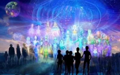 Le Conseil : du point de vue de qui ?