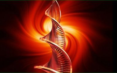 La mutation et l’ouverture de conscience s’accélèrent