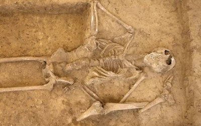 Des ossements découverts à Waterloo deux siècles après la célèbre bataille