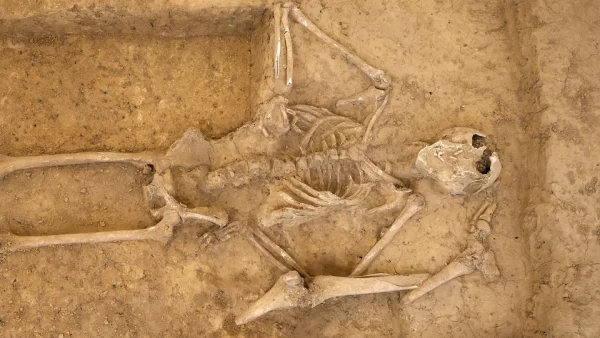 Des ossements découverts à Waterloo deux siècles après la célèbre bataille